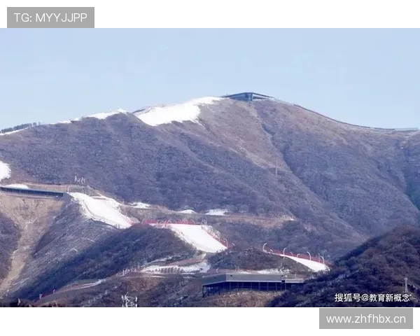 雪车起跑瞬间力量与速度博弈的冰雪体育竞技解析训练科学与团队协作